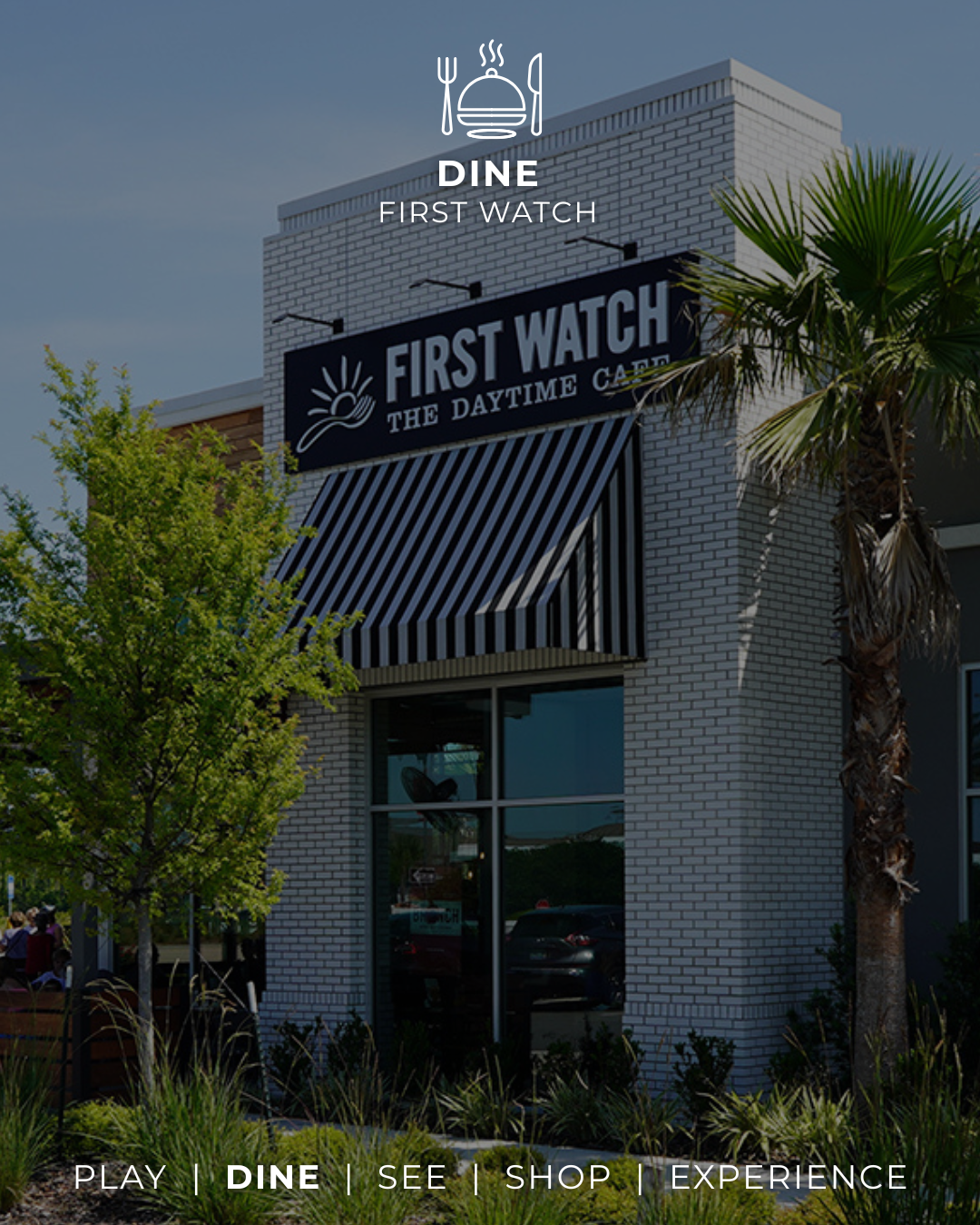 3-Feb-23-2026-01-56-08-1317-PM